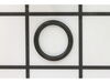 O-RING – Part Number: 1610210026