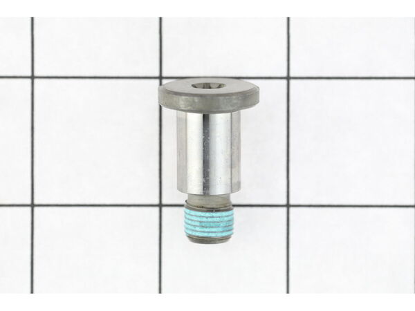 19503393-1-M-Bosch Tool-1610320015-ECCENTRIC BOLT