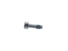 MICROENCAPSULATED SCREW – Part Number: 1613414021
