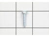 TORX OVAL-HEAD SCREW – Part Number: 1613435012
