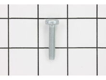 TORX OVAL-HEAD SCREW – Part Number: 1613435013