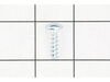 TORX OVAL-HEAD SCREW – Part Number: 1613490008