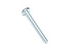 TORX OVAL-HEAD SCREW – Part Number: 1613490009