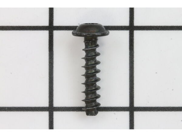 19503964-1-M-Bosch Tool-1613490021-TORX OVAL-HEAD SCREW