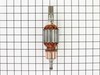 ARMATURE 120V – Part Number: 1614011118