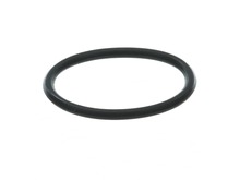 O-RING – Part Number: 1900210131