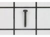 TORX OVAL-HEAD SCREW – Part Number: 2609110353