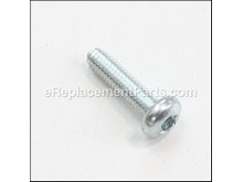 TORX OVAL-HEAD SCREW – Part Number: 2914491410