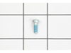 MICROENCAPSULATED SCREW – Part Number: 2914551176