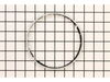 BRUSH – Part Number: 3600290054