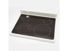 MAINTOP – Part Number: 316531918