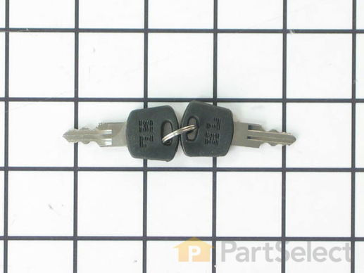 2001616-1-M-Whirlpool-11001081-Key - Set of Two