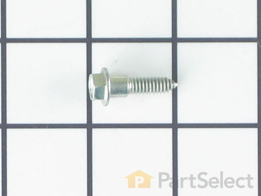 2057896-1-M-Whirlpool-61002025-Screw