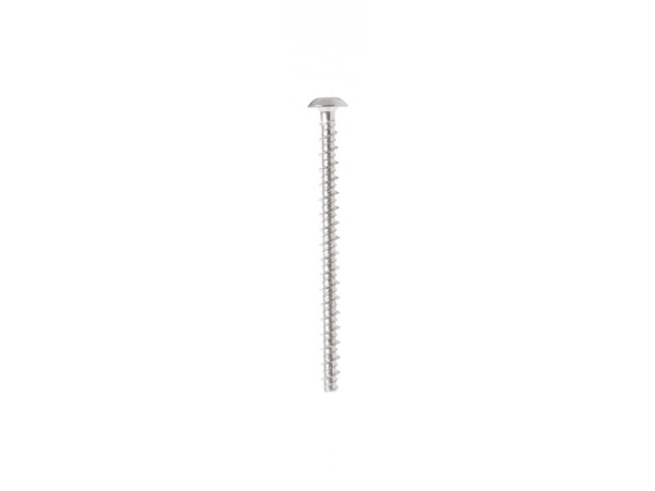 222167-1-M-GE-WB01T10018        -Handle Endcap Mounting Screw