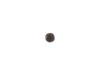 222404-2-S-GE-WB01X10062        -Grille Screw