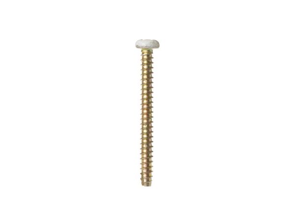 222411-1-M-GE-WB01X10069        -SCREW-GRILLE-ALMOND