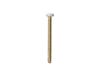 SCREW-GRILLE-ALMOND – Part Number: WB01X10069