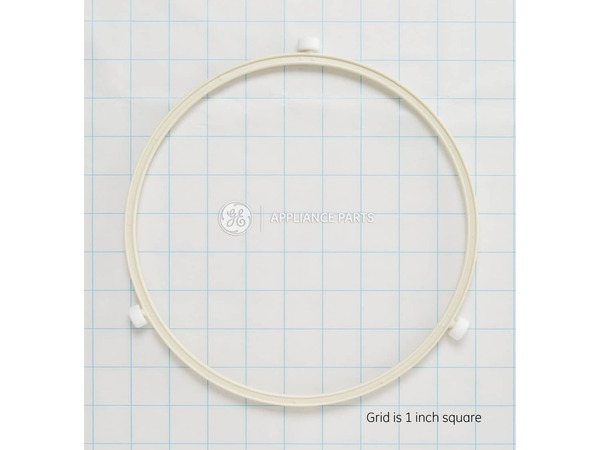 224055-1-M-GE-WB02X10806        -Turntable Guide with Rollers
