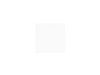 228027-3-S-GE-WB06X10317        -Microwave Light Shield