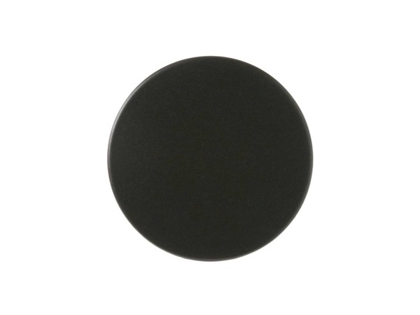 231389-1-M-GE-WB13T10036        - BURNER CAP LT Front -SBK