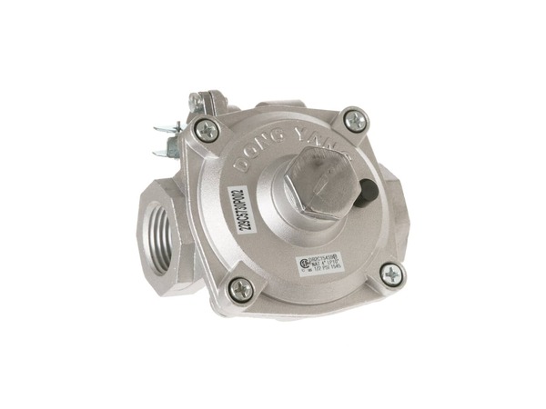 2321353-1-M-GE-WB19T10073-Pressure Regulator