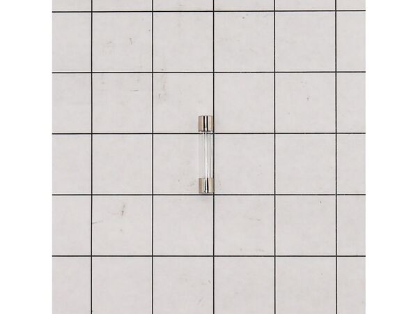 2338124-1-M-GE-WR55X10766-FUSE