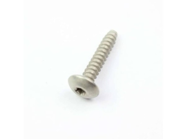 234294-1-M-GE-WB1K63            -SCREW 10-16 X 0.95 Inch