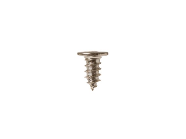 234786-1-M-GE-WB1X5364          -Mounting Screw
