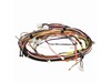 WIRING HARNESS – Part Number: 318384436