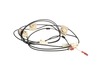 2350919-2-S-Frigidaire-318232646-WIRING HARNESS