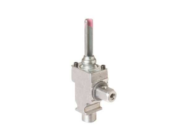 235448-1-M-GE-WB21K21           -Burner Control Valve