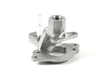 IGNITOR/ORIFICE ASS – Part Number: 316543204