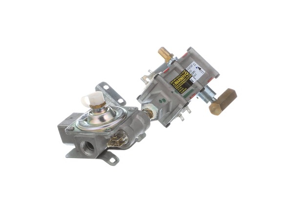 2370032-1-M-GE-WB19K10041-Safety Valve and Regulator Assembly