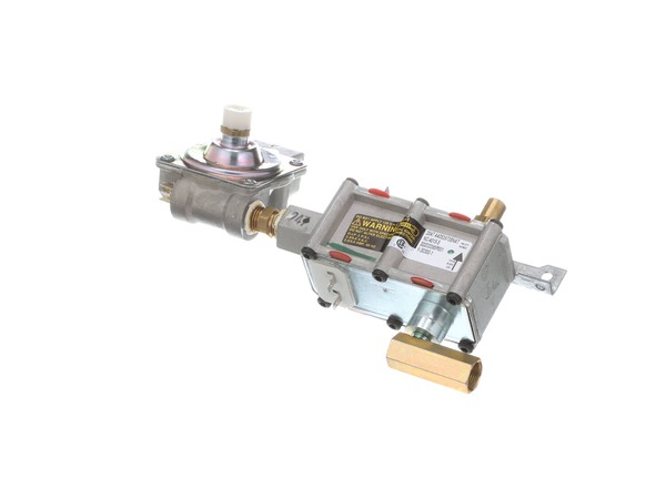 2370035-1-M-GE-WB19K10051-Dual Combination Valve Assembly