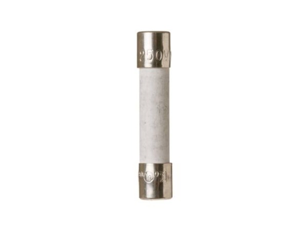 239596-1-M-GE-WB27X10454        -Fuse