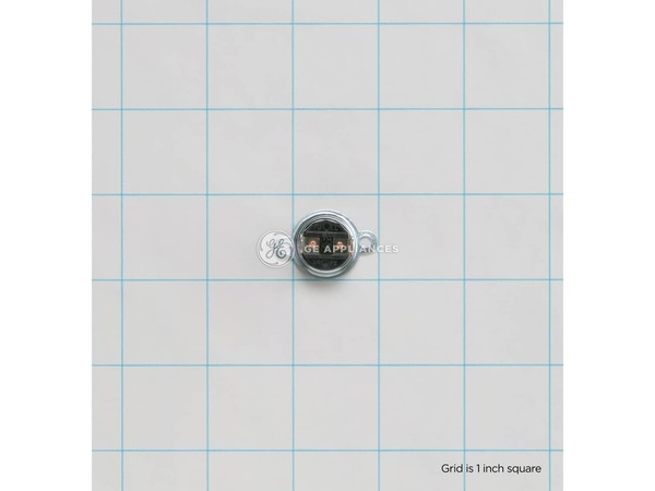 239604-1-M-GE-WB27X10461        -Single Flame Sensor