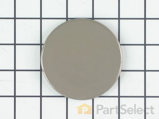241315-1-M-GE-WB29K49           -Burner Cap - Large