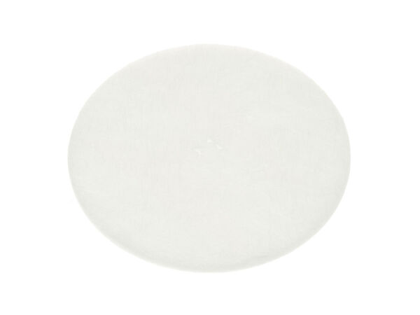 245251-1-M-GE-WB35K10013        -Insulation Fan