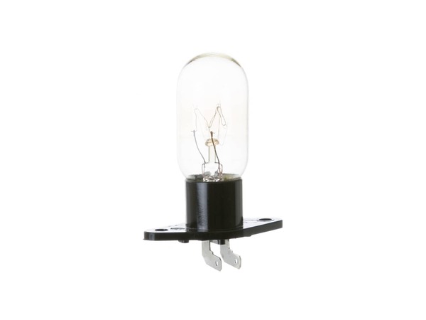 247776-1-M-GE-WB36X951          -Light Bulb and Socket