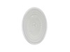 250009-2-S-GE-WB49X10063        -Glass Cooking Tray
