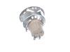 256842-3-S-GE-WB8K5042          -Light Bulb Socket