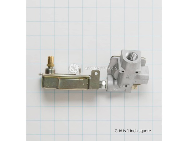 2577552-1-M-GE-WB19K10044-Single Gas Pressure Regulator and Safety Valve Assembly