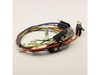 HARNESS – Part Number: 316580400