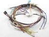 2582096-2-S-Frigidaire-318384468-WIRING HARNESS