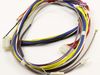 2582116-2-S-Frigidaire-318402341-HARNESS