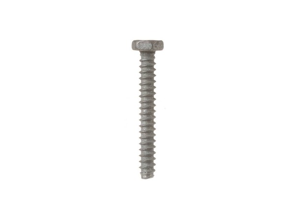 264776-1-M-GE-WE02X10005        -SCREW-BRACKET