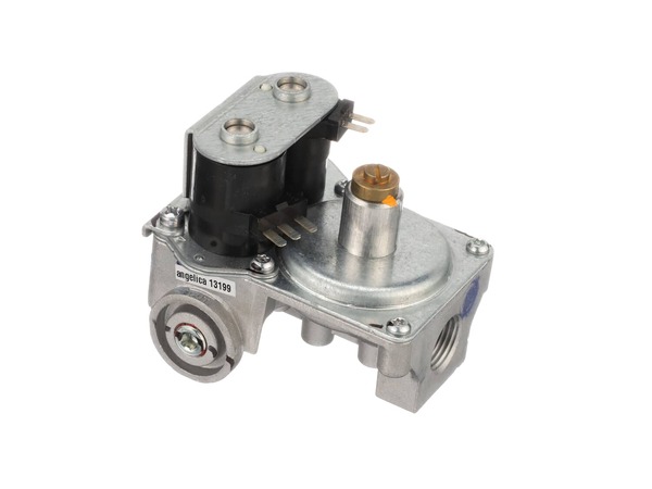 266093-1-M-GE-WE14X215          -2-Coil Gas Shut-Off Valve Assembly