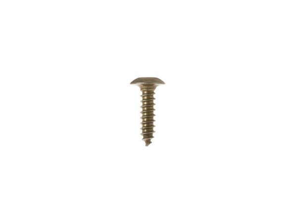 283488-1-M-GE-WR01X10038        -Screw