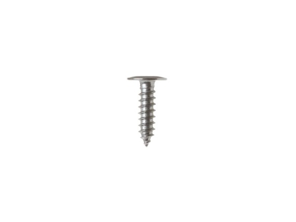 283515-1-M-GE-WR01X10065        -Screw