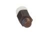 283685-3-S-GE-WR01X10258        -Door Spring Stud